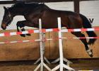 Bild-Thumbnail